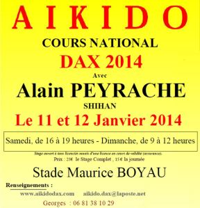 satage dax2014